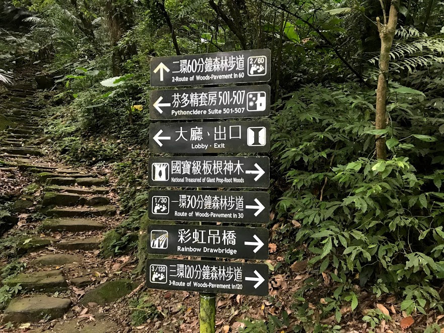 大板根森林步道