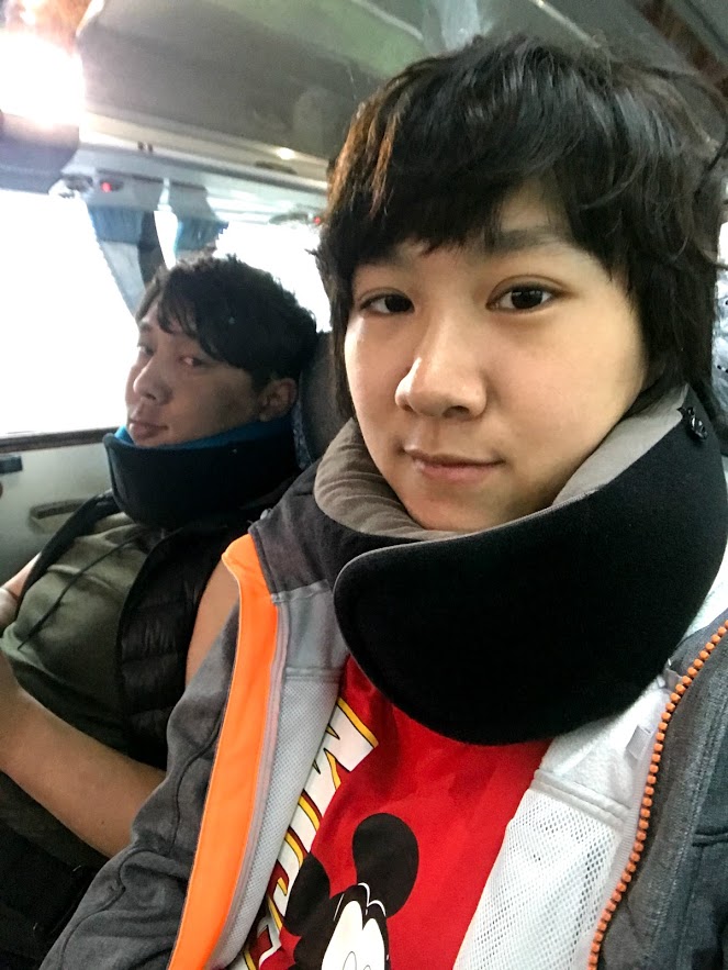 旅行頸枕推薦