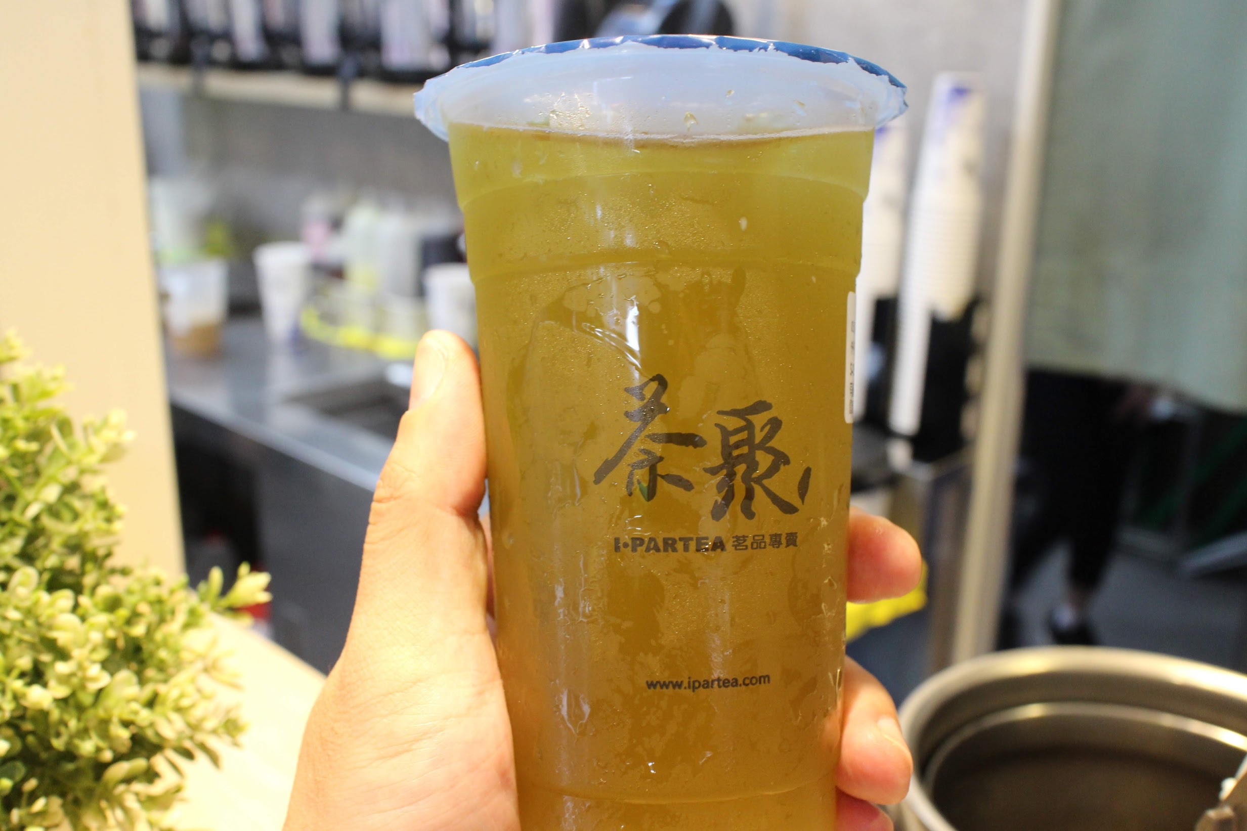 茶聚黃金芯芽