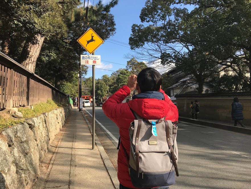 奈良餵鹿
